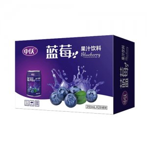 中仸蓝莓果汁饮料250mlx20罐