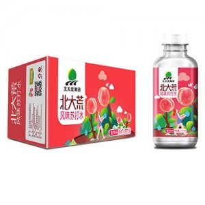 北大荒集团风味苏打水蜜桃味装