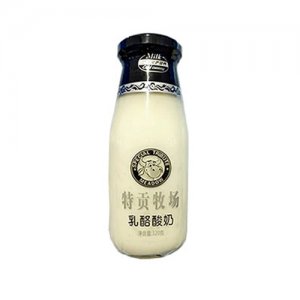 福淋特贡牧场乳酷酸奶320g2整箱装