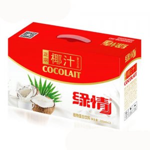 缘情椰汁植物蛋白饮料235mlX12