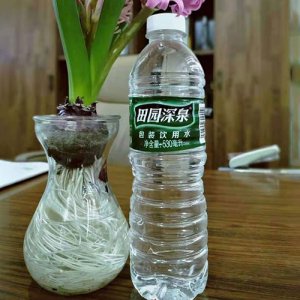 田园深泉包装饮用水530ml