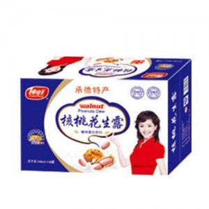 纯旺核桃花生露20箱饮品
