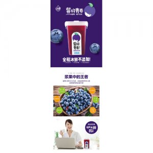 动康380ml蓝莓汁