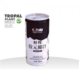 热带印象鲜榨胶元椰汁罐装180g