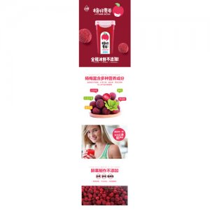 动康380ml杨梅汁