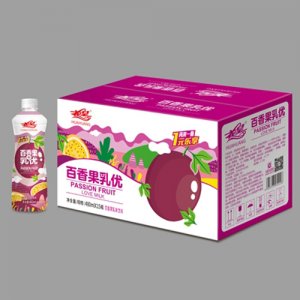 花皇百香果乳味饮料480mlX15