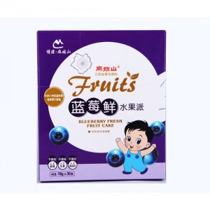 麻姑山蓝莓鲜水果派