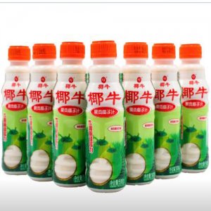 椰牛果肉椰子汁500gX15