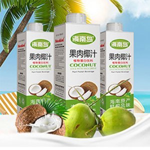 海南岛方盒果肉椰汁1kg