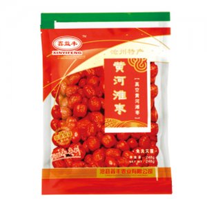 鑫益丰黄河滩枣248克