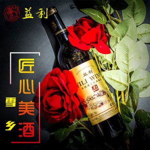 益利雪乡
