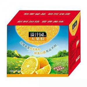 溢汁园大果粒饮料1.5Lx12