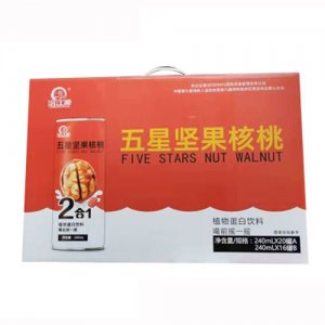 涪江源五星坚果核桃植物蛋白饮料