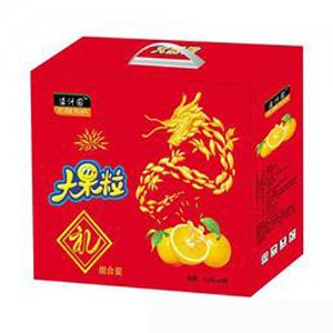 溢汁园大果粒组合装1.25L