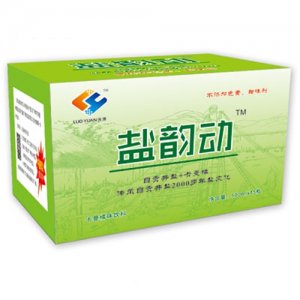 洛源盐韵动卡曼橘味饮料500mlx15瓶