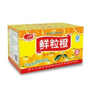 利民鲜粒橙600mlx15瓶