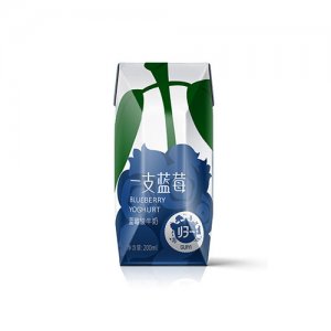 归一一支蓝莓