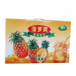 型栋菠萝爽果味饮料