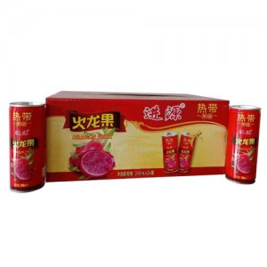 进源火龙果汁饮料245mlx24罐