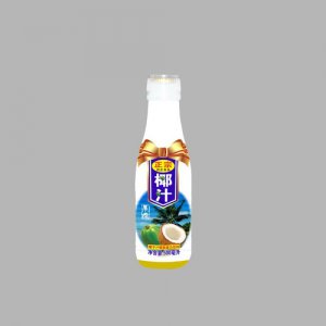 润庄椰子汁500ml