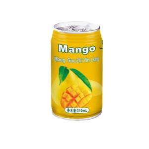 凯怡芒果汁310克