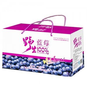 戴家兄弟蓝莓果汁果粒型