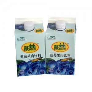 高泰屋顶包蓝莓果肉饮料500ML