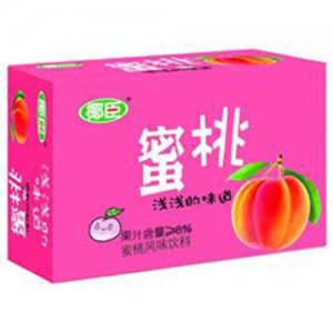 椰臣蜜桃风味饮料标箱装