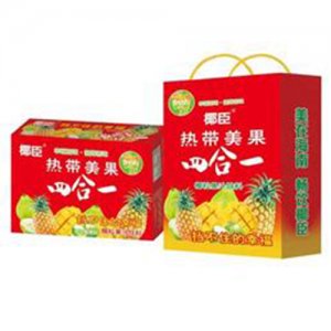 椰臣热带美果四合一椰粒果汁饮料
