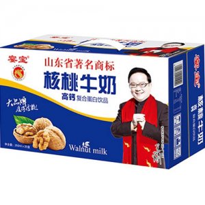横提核桃牛奶标箱250mlx20
