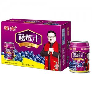 宴宝蓝莓汁240mlx20盒