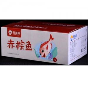 苏海清赤棕鱼