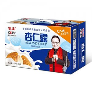 宴宝杏仁露礼盒250mlx20盒
