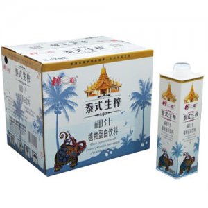 家康宝榨一道泰式生榨椰汁植物蛋白饮料