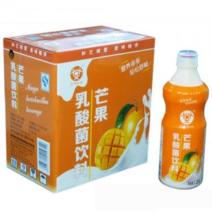 家康宝天下知己芒果乳酸菌饮品