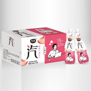 果时刻—桃味气泡水