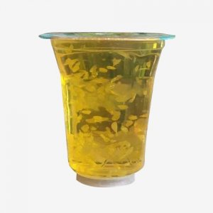 爱心牛1元杯装果粒橙