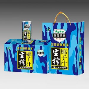 好佳佳生榨椰子汁植物蛋白饮料