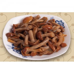 兴隆堡滑子蘑