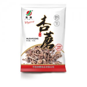 奕霖袋装-100克野生杏蘑-01