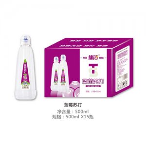 体速蓝莓苏打