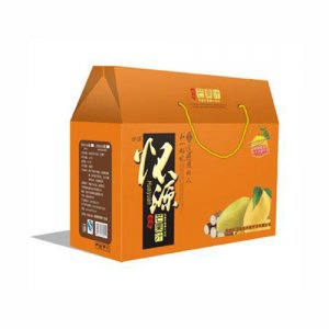 怀源芒果汁礼品盒装