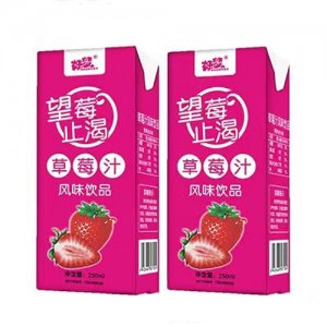 好梦望莓止渴草莓汁风味饮品250ml