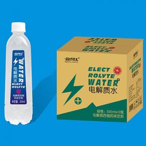 运动范儿电解质水500ml