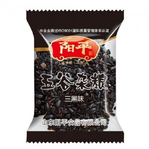 阳平三黑味豆浆包