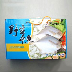 海之舟1-2平鱼2kg