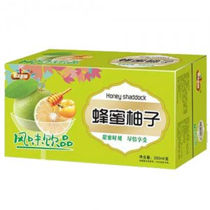 E人E罐蜂蜜柚子茶