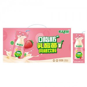 E人E罐乳酸菌饮品草莓味250ml箱