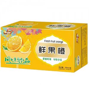 E人E罐鲜果橙饮料