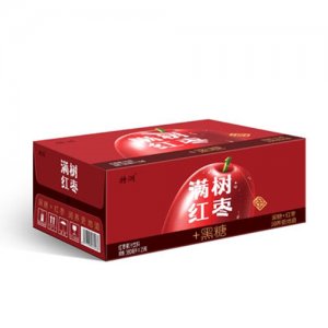 特润满树红枣红枣果汁饮料380mlX15